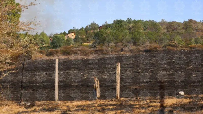 afectaciones Tapalpa